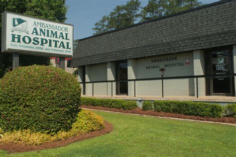 Ambassador animal hospital - Excellent service. I got my two cats spayed at Ambassador Animal Hospital. The quality of service and follow-up call was really appreciated.I have never seen such a good service before.I would strongly recommend Ambassador Animal hospital to everyone looking for a good care of their pets.